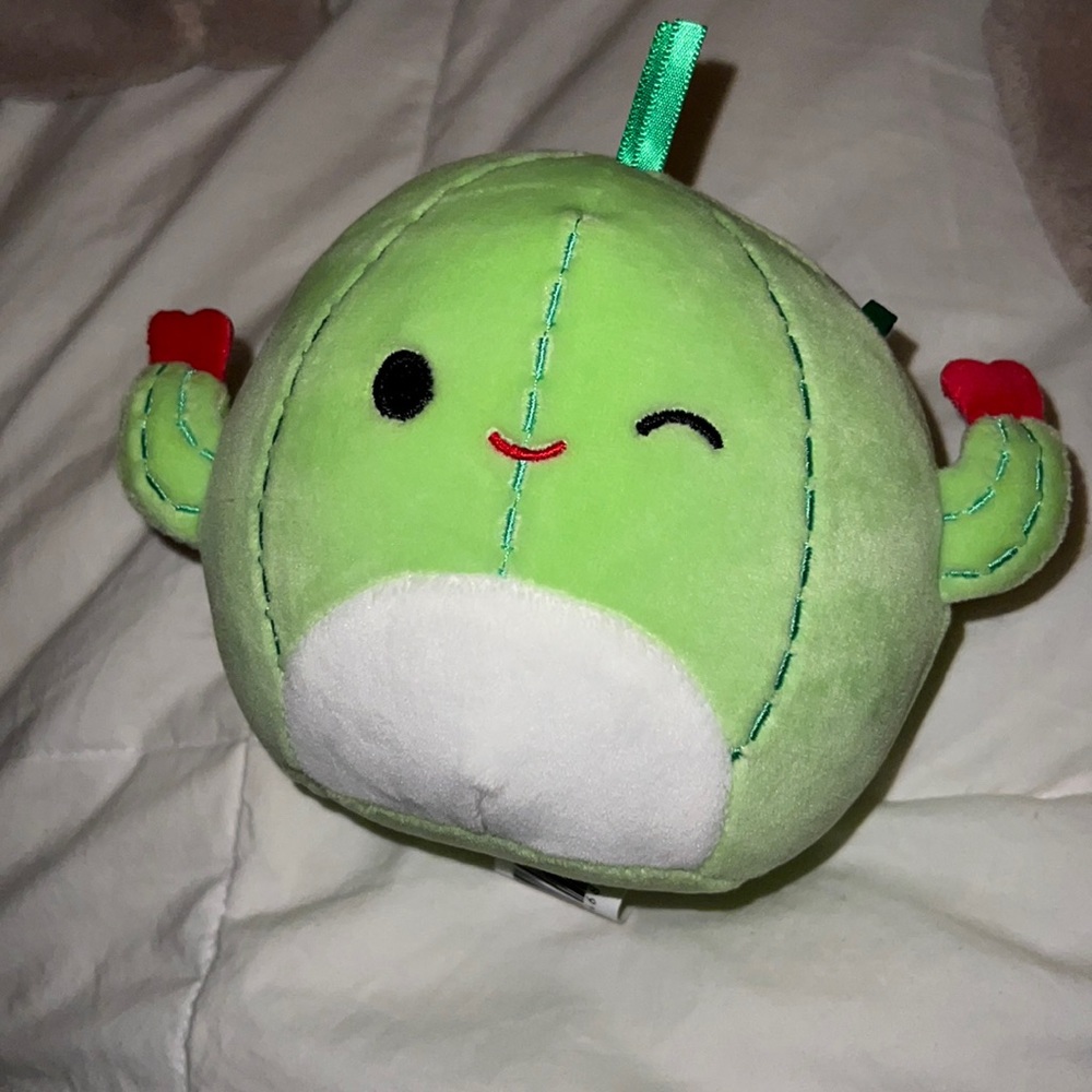 CACTUS 🌵 SQUISH MALLOW